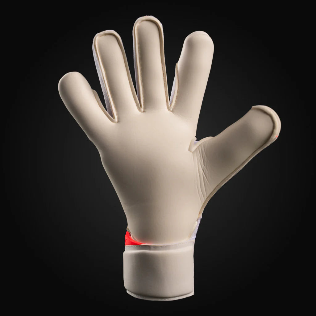 NXT Pro Doubters VTX